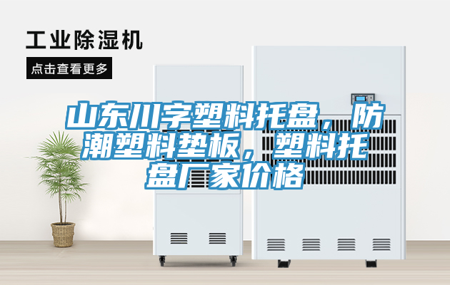 山東川字塑料托盤，防潮塑料墊板，塑料托盤廠家價格