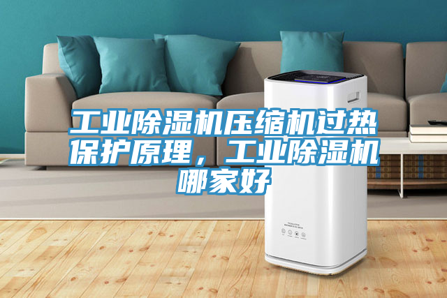 工業(yè)除濕機(jī)壓縮機(jī)過(guò)熱保護(hù)原理，工業(yè)除濕機(jī)哪家好