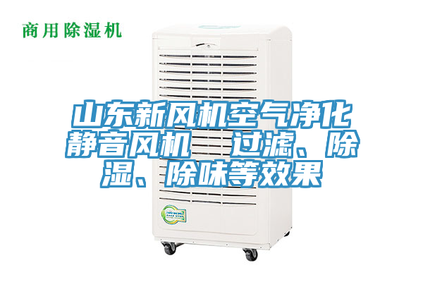 山東新風機空氣凈化靜音風機  過濾、除濕、除味等效果
