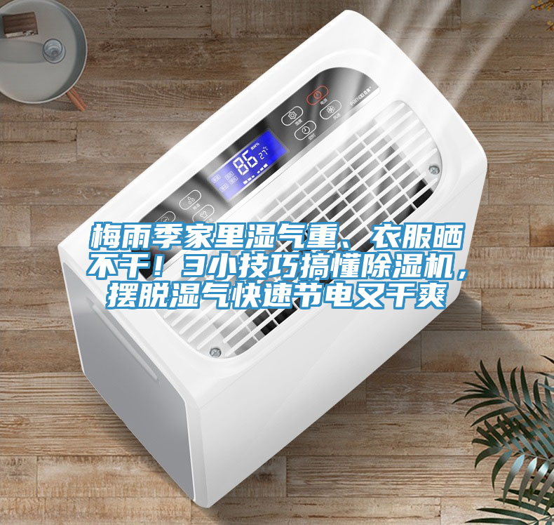 梅雨季家里濕氣重、衣服曬不干！3小技巧搞懂除濕機，擺脫濕氣快速節(jié)電又干爽