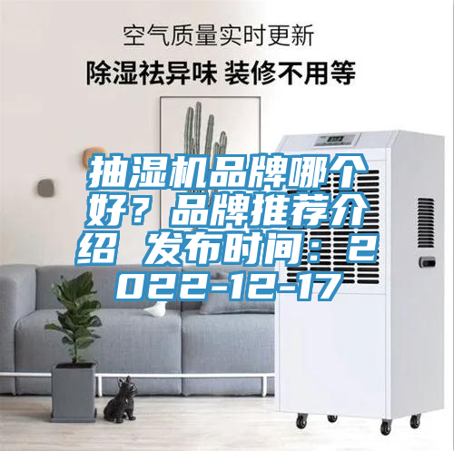 抽濕機(jī)品牌哪個(gè)好？品牌推薦介紹 發(fā)布時(shí)間：2022-12-17