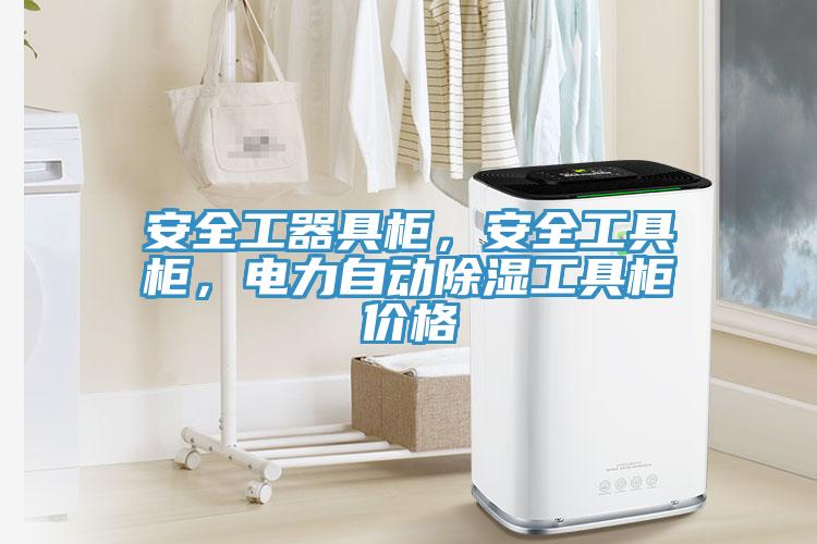 安全工器具柜，安全工具柜，電力自動除濕工具柜價格