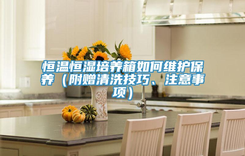 恒溫恒濕培養(yǎng)箱如何維護保養(yǎng)（附贈清洗技巧、注意事項）