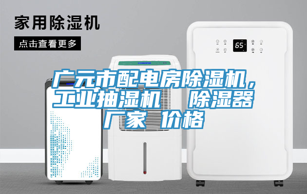 廣元市配電房除濕機(jī)，工業(yè)抽濕機(jī)  除濕器廠家 價格