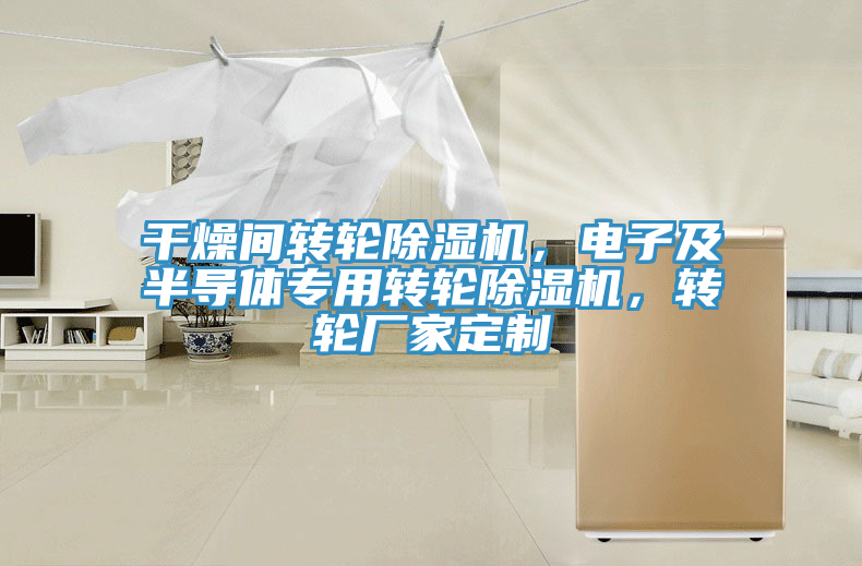干燥間轉(zhuǎn)輪除濕機(jī)，電子及半導(dǎo)體專用轉(zhuǎn)輪除濕機(jī)，轉(zhuǎn)輪廠家定制