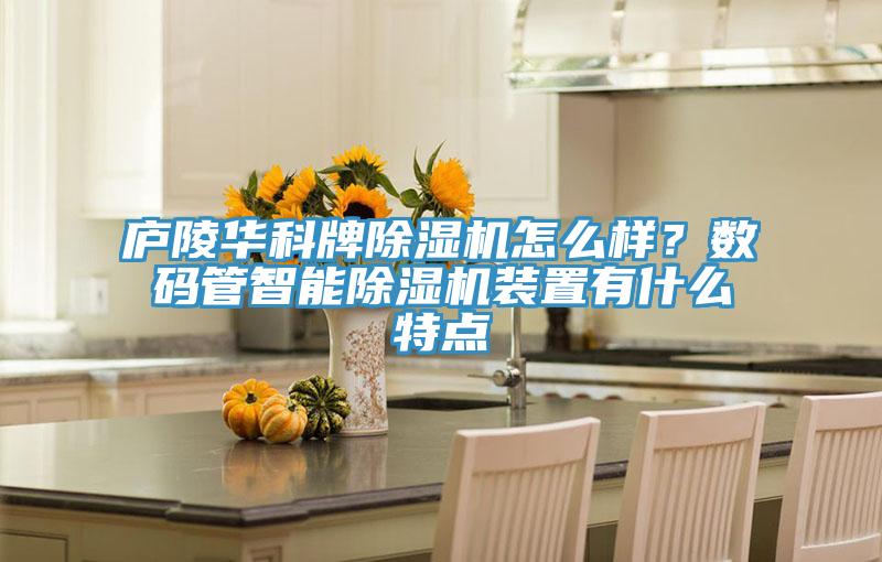 廬陵華科牌除濕機怎么樣？數(shù)碼管智能除濕機裝置有什么特點