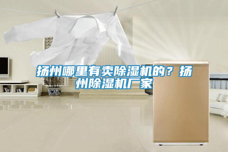 揚州哪里有賣除濕機的？揚州除濕機廠家