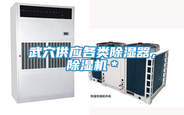 武穴供應(yīng)各類除濕器，除濕機(jī)＊
