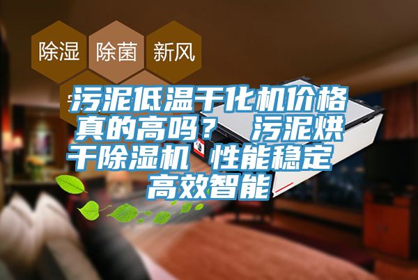 污泥低溫干化機價格真的高嗎？ 污泥烘干除濕機 性能穩(wěn)定 高效智能