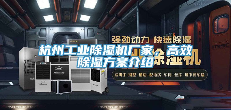 杭州工業(yè)除濕機(jī)廠家，高效除濕方案介紹