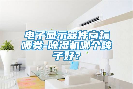 電子顯示器件商標(biāo)哪類-除濕機(jī)哪個(gè)牌子好？