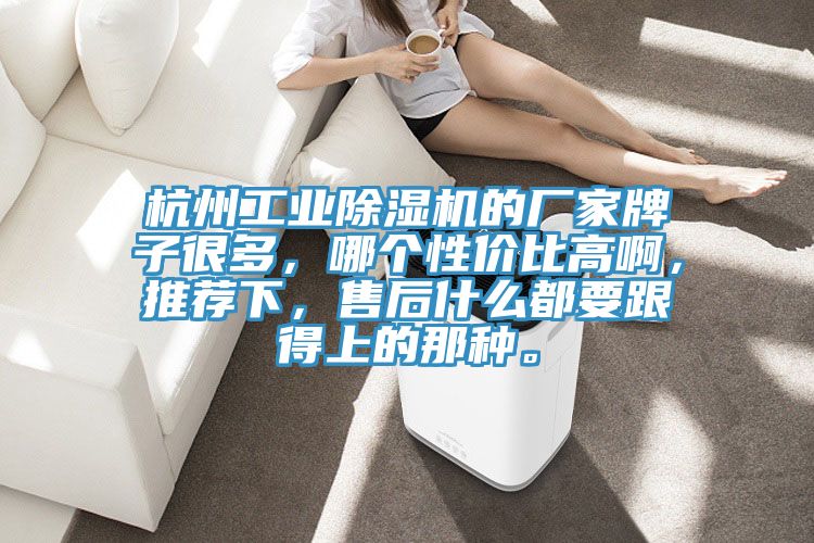 杭州工業(yè)除濕機(jī)的廠家牌子很多，哪個(gè)性價(jià)比高啊，推薦下，售后什么都要跟得上的那種。