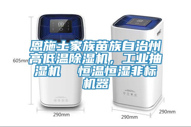 恩施土家族苗族自治州高低溫除濕機，工業(yè)抽濕機  恒溫恒濕非標機器