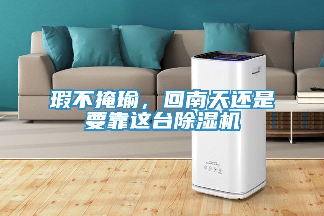 瑕不掩瑜，回南天還是要靠這臺除濕機(jī)