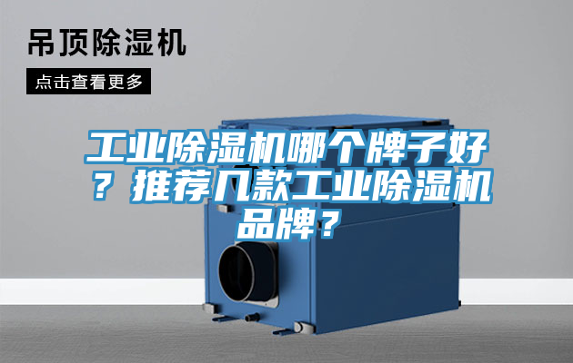 工業(yè)除濕機(jī)哪個(gè)牌子好？推薦幾款工業(yè)除濕機(jī)品牌？