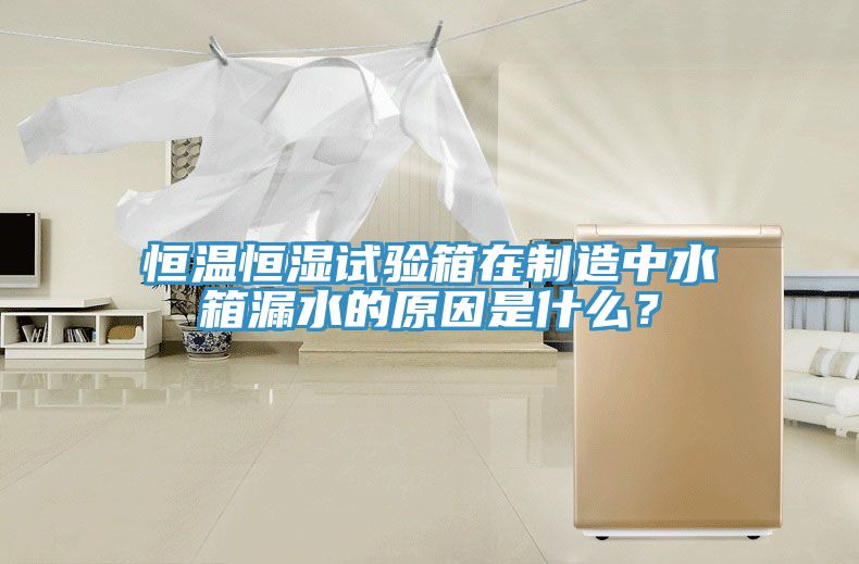 恒溫恒濕試驗(yàn)箱在制造中水箱漏水的原因是什么？