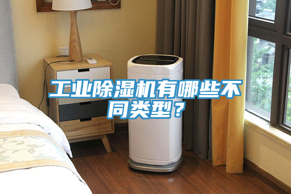 工業(yè)除濕機(jī)有哪些不同類型？