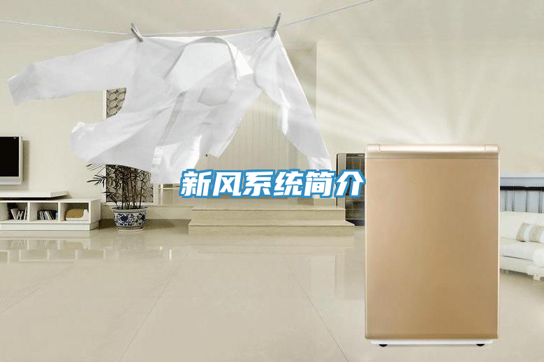 新風系統(tǒng)簡介