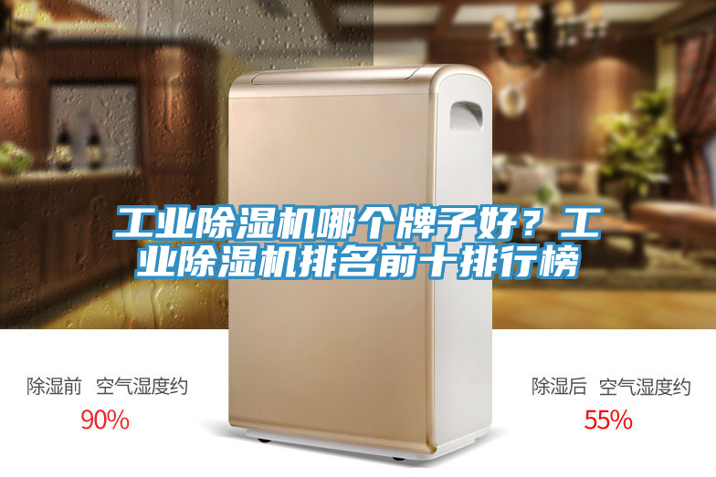 工業(yè)除濕機(jī)哪個(gè)牌子好？工業(yè)除濕機(jī)排名前十排行榜
