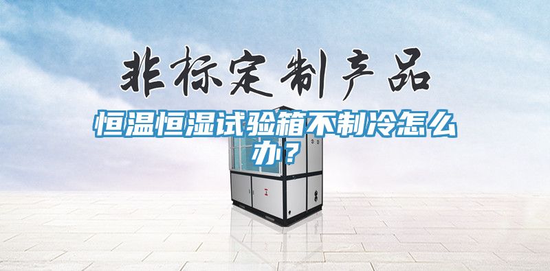 恒溫恒濕試驗箱不制冷怎么辦？
