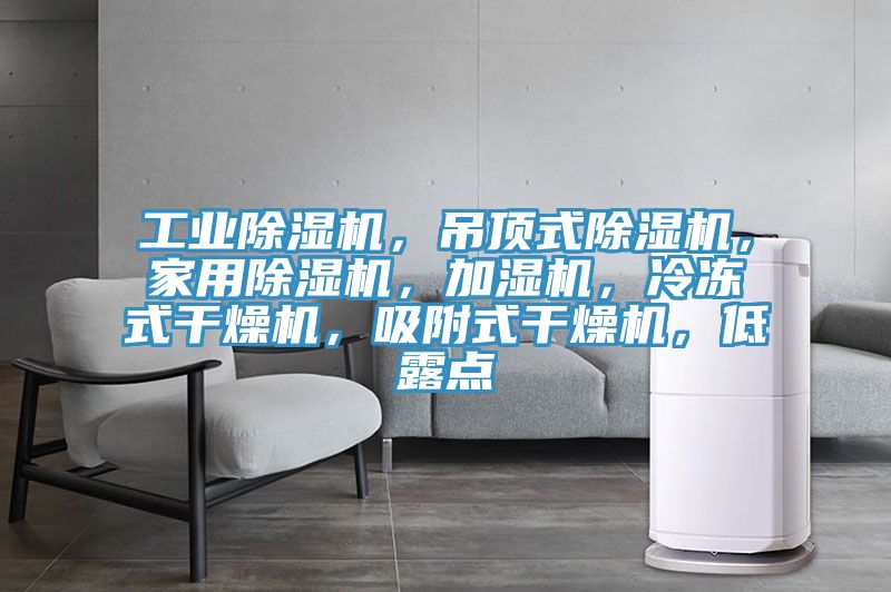 工業(yè)除濕機，吊頂式除濕機，家用除濕機，加濕機，冷凍式干燥機，吸附式干燥機，低露點