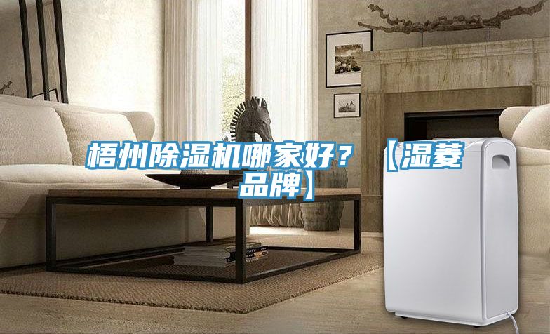 梧州除濕機哪家好？【濕菱品牌】
