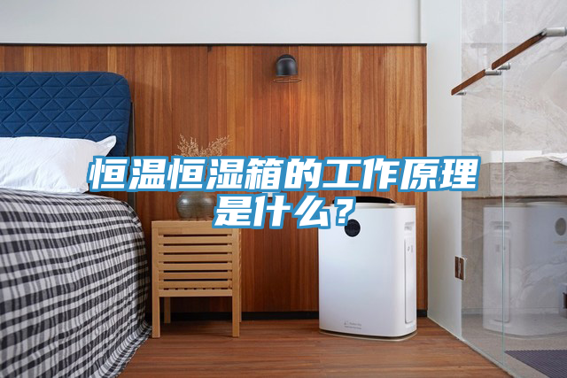 恒溫恒濕箱的工作原理是什么？