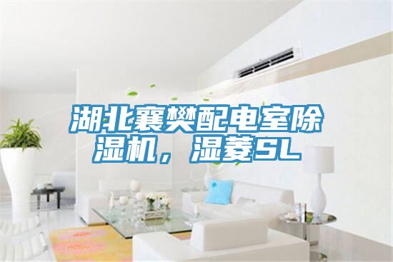 湖北襄樊配電室除濕機，濕菱SL