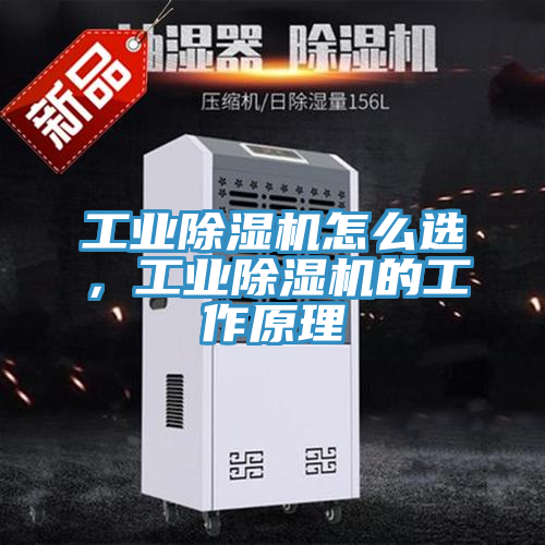 工業(yè)除濕機怎么選，工業(yè)除濕機的工作原理