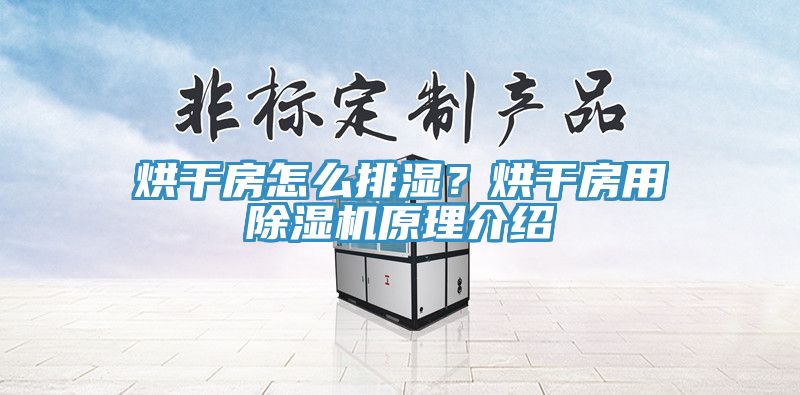 烘干房怎么排濕？烘干房用除濕機原理介紹