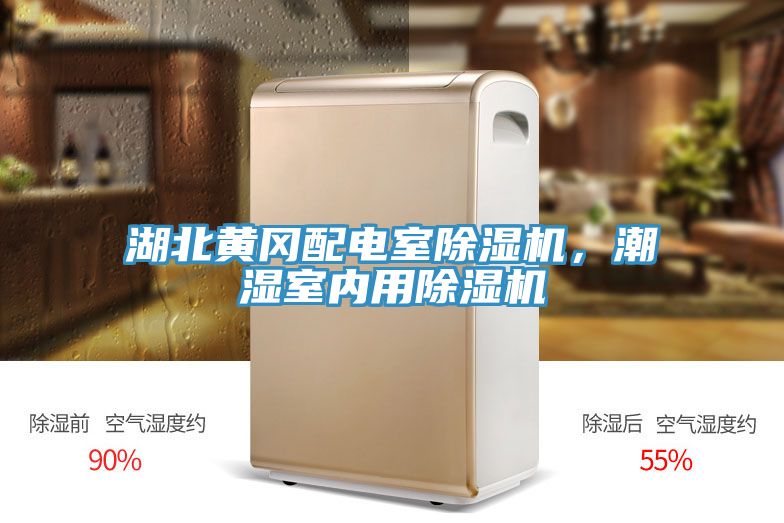 湖北黃岡配電室除濕機，潮濕室內(nèi)用除濕機