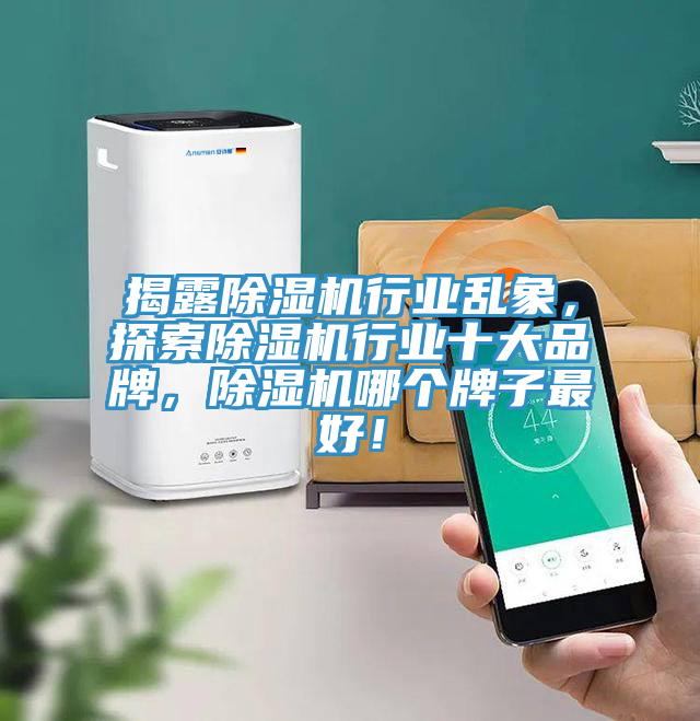 揭露除濕機行業(yè)亂象，探索除濕機行業(yè)十大品牌，除濕機哪個牌子最好！