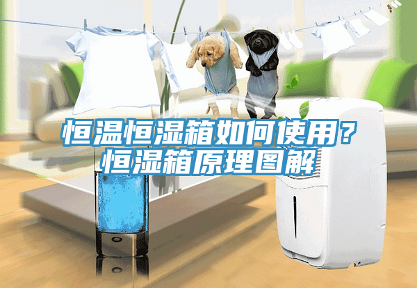恒溫恒濕箱如何使用？恒濕箱原理圖解