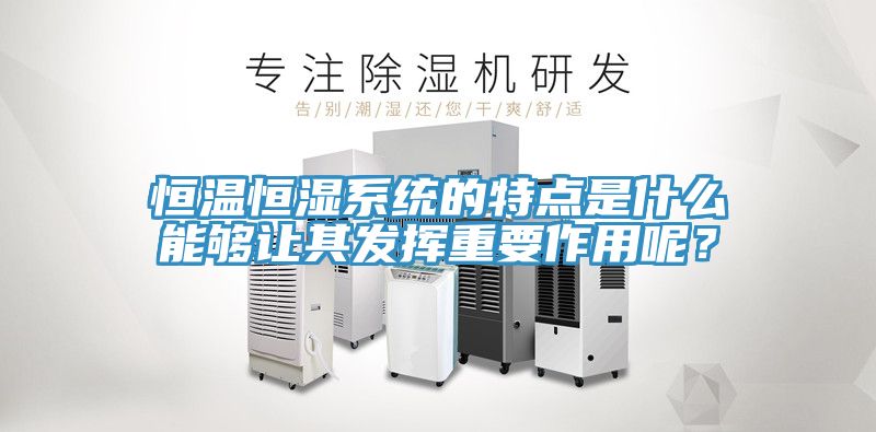 恒溫恒濕系統(tǒng)的特點(diǎn)是什么能夠讓其發(fā)揮重要作用呢？