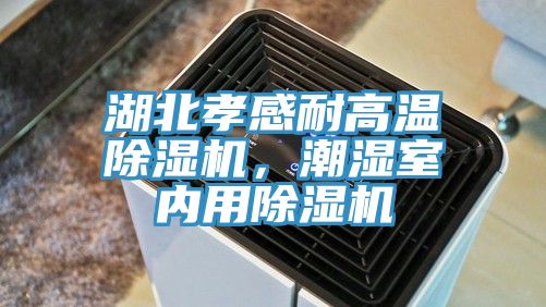 湖北孝感耐高溫除濕機，潮濕室內(nèi)用除濕機