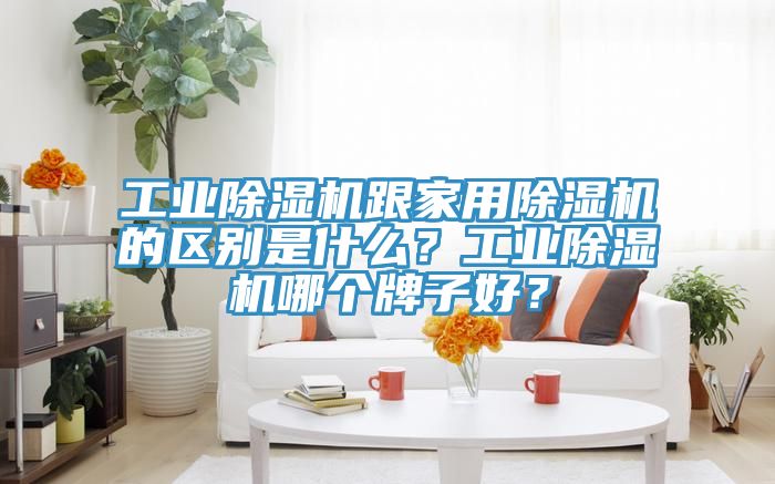 工業(yè)除濕機(jī)跟家用除濕機(jī)的區(qū)別是什么？工業(yè)除濕機(jī)哪個(gè)牌子好？