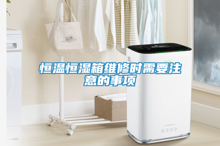 恒溫恒濕箱維修時需要注意的事項(xiàng)