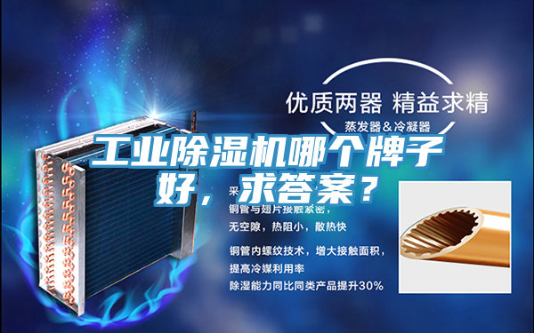 工業(yè)除濕機哪個牌子好，求答案？
