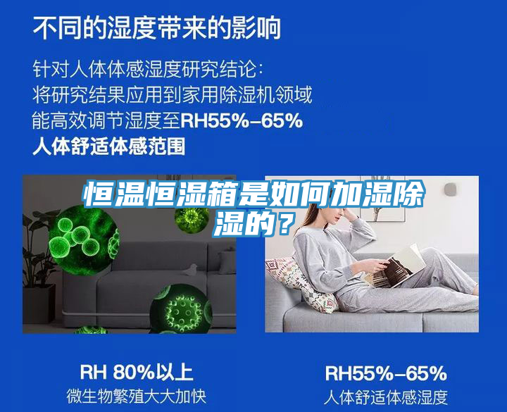 恒溫恒濕箱是如何加濕除濕的？