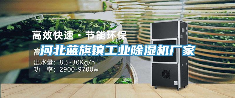 河北藍(lán)旗鎮(zhèn)工業(yè)除濕機廠家