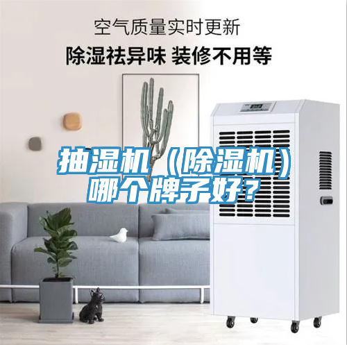 抽濕機（除濕機）哪個牌子好？