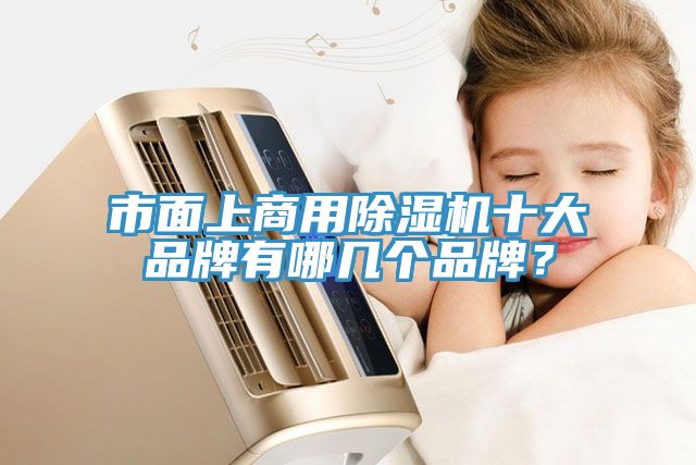 市面上商用除濕機(jī)十大品牌有哪幾個(gè)品牌？