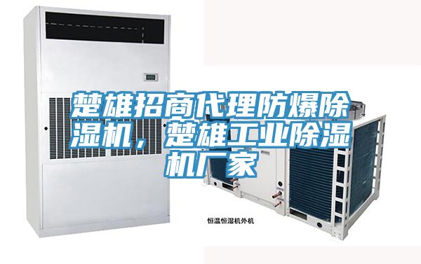 楚雄招商代理防爆除濕機，楚雄工業(yè)除濕機廠家