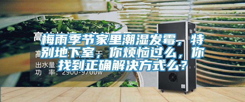 梅雨季節(jié)家里潮濕發(fā)霉，特別地下室，你煩惱過么，你找到正確解決方式么？
