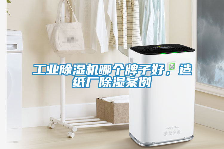 工業(yè)除濕機(jī)哪個(gè)牌子好，造紙廠除濕案例