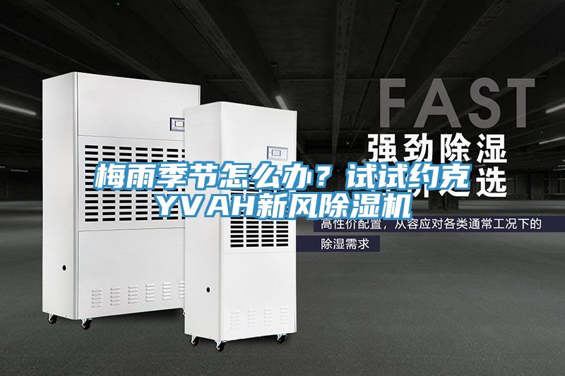 梅雨季節(jié)怎么辦？試試約克YVAH新風(fēng)除濕機(jī)