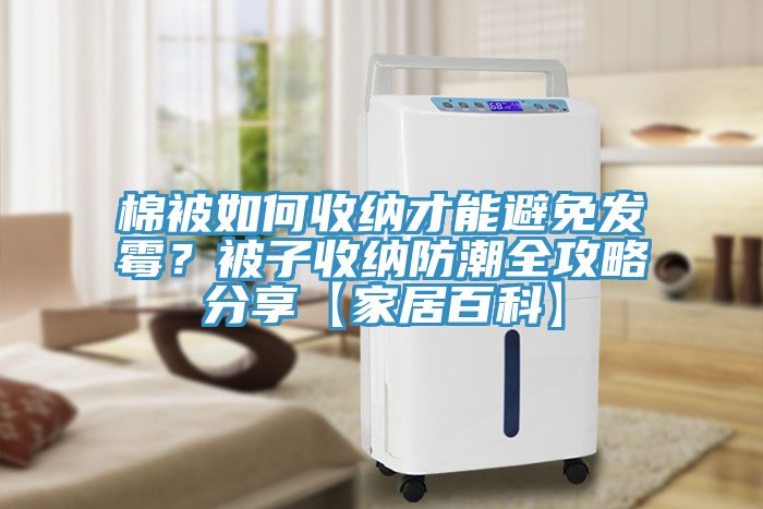 棉被如何收納才能避免發(fā)霉？被子收納防潮全攻略分享【家居百科】