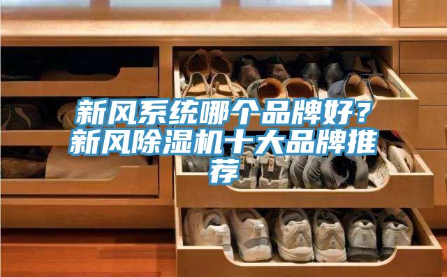新風(fēng)系統(tǒng)哪個品牌好？新風(fēng)除濕機(jī)十大品牌推薦
