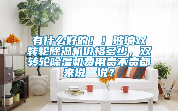 有什么好的！！玻璃雙轉(zhuǎn)輪除濕機價格多少，雙轉(zhuǎn)輪除濕機費用貴不貴都來說一說？