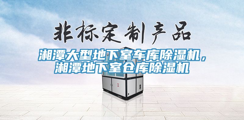 湘潭大型地下室車(chē)庫(kù)除濕機(jī)，湘潭地下室倉(cāng)庫(kù)除濕機(jī)